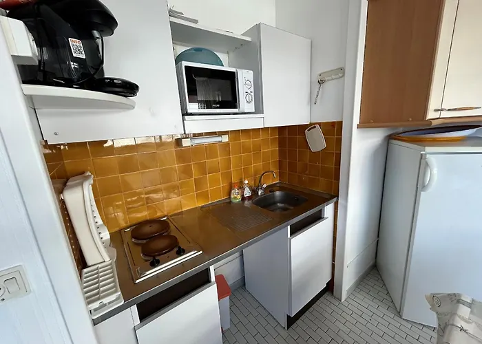 4 Pers. Avec Terrasse Et Parking, Argeles-sur-mer - Fr-1-837-59 アパート