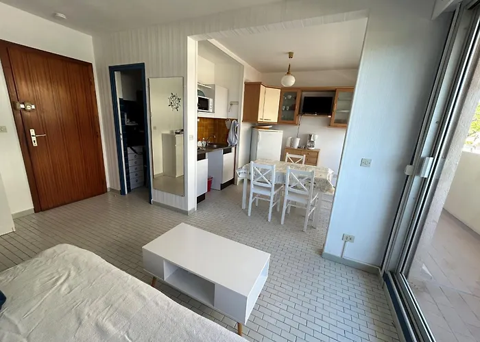 公寓 4 Pers. Avec Terrasse Et Parking, Argeles-sur-mer - Fr-1-837-59 *